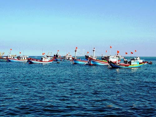 Épauler les pêcheurs au large - ảnh 1